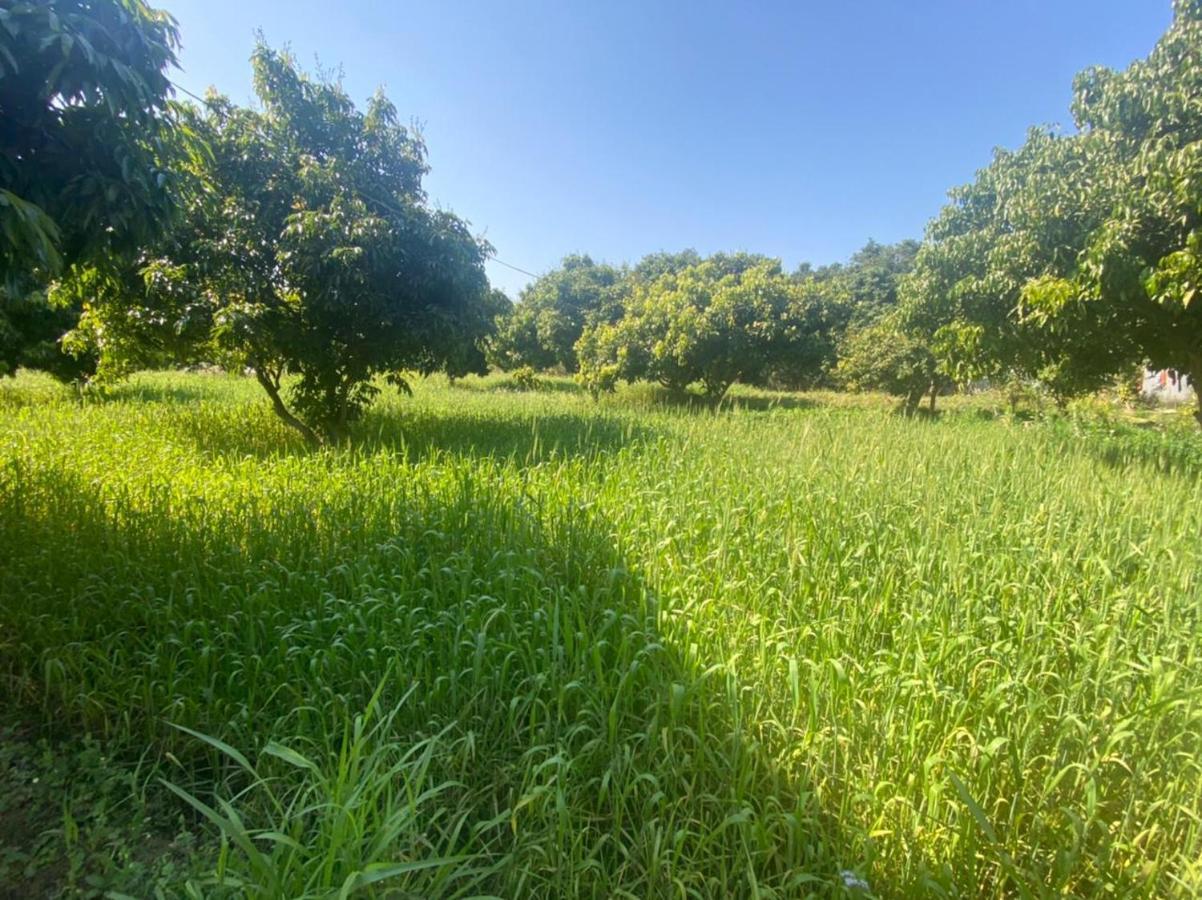 Отель Lushy Days Boom Camp Tanakpur Экстерьер фото